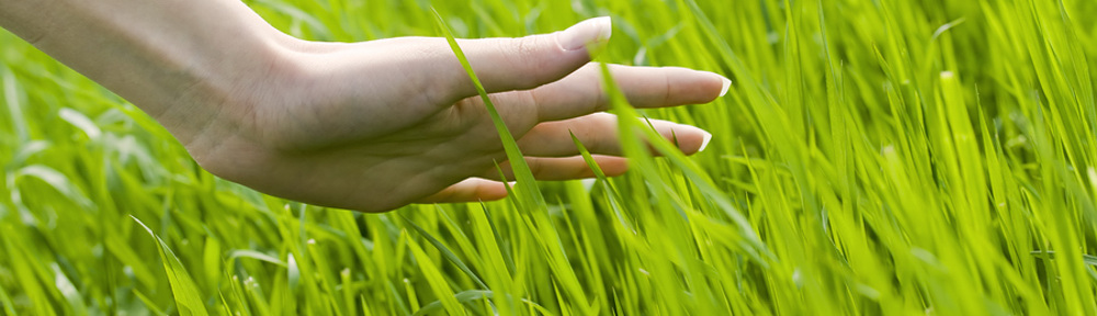 hand_in_grass.jpg